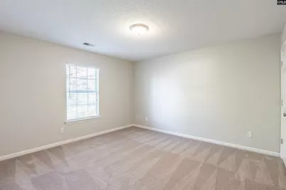 145 Wingspan Way, Chapin, SC 29036 - Photo 21