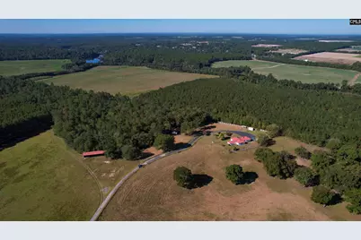 156 Big Sandy Drive, Pelion, SC 29123 - Photo 57