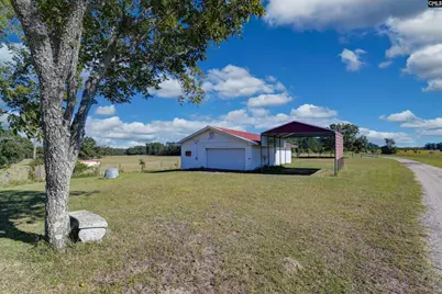 156 Big Sandy Drive, Pelion, SC 29123 - Photo 79