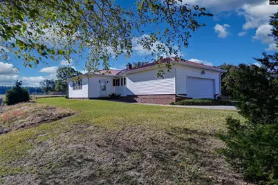 156 Big Sandy Drive, Pelion, SC 29123 - Photo 11