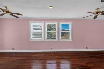 156 Big Sandy Drive, Pelion, SC 29123 - Photo 27