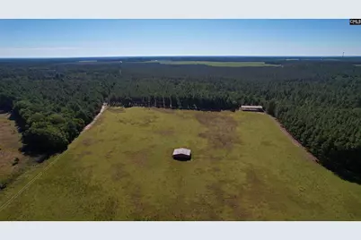 156 Big Sandy Drive, Pelion, SC 29123 - Photo 67