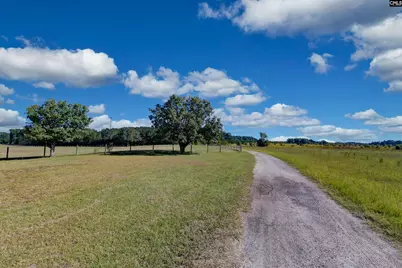 156 Big Sandy Drive, Pelion, SC 29123 - Photo 85