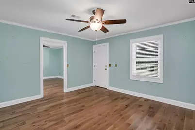 156 Big Sandy Drive, Pelion, SC 29123 - Photo 17