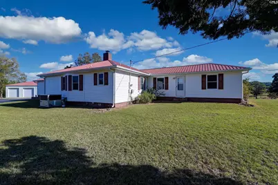 156 Big Sandy Drive, Pelion, SC 29123 - Photo 5