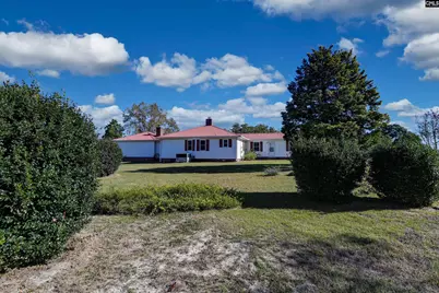 156 Big Sandy Drive, Pelion, SC 29123 - Photo 7