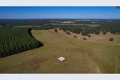 156 Big Sandy Drive, Pelion, SC 29123 - Photo 63