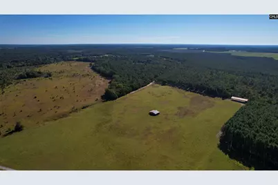 156 Big Sandy Drive, Pelion, SC 29123 - Photo 59