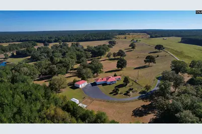 156 Big Sandy Drive, Pelion, SC 29123 - Photo 73
