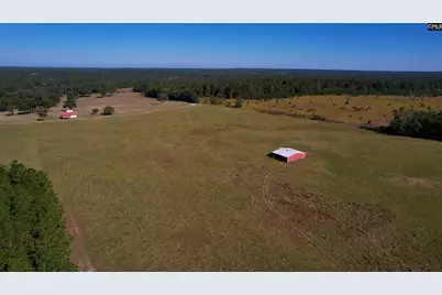 156 Big Sandy Drive, Pelion, SC 29123 - Photo 65