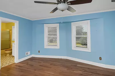 156 Big Sandy Drive, Pelion, SC 29123 - Photo 49