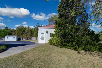 156 Big Sandy Drive, Pelion, SC 29123 - Photo 13