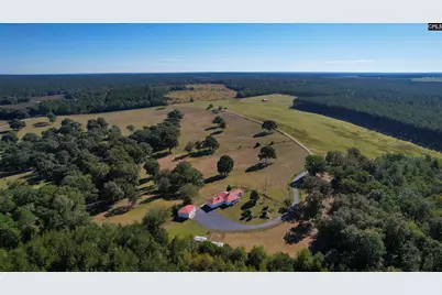 156 Big Sandy Drive, Pelion, SC 29123 - Photo 71