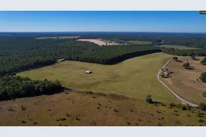 156 Big Sandy Drive, Pelion, SC 29123 - Photo 1