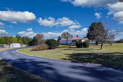 156 Big Sandy Drive, Pelion, SC 29123 - Photo 91