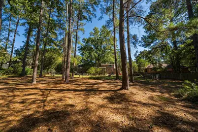 9 Eastbourne Court, Columbia, SC 29223 - Photo 67