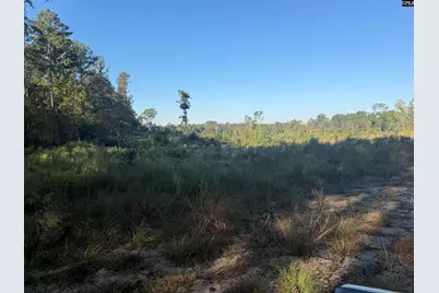 0 Sc Hwy 773 Highway, Pomaria, SC 29126 - Photo 1