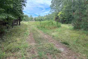 Jollystreet, Prosperity, SC 29127 - Photo 1