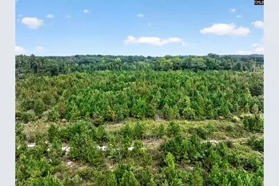 0000 Line Road 4 #4, Elgin, SC 29045 - Photo 5
