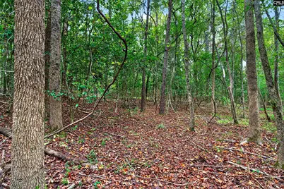 0000 Line Road 4 #4, Elgin, SC 29045 - Photo 27