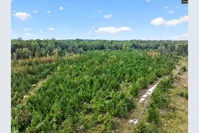 0000 Line Road 4 #4, Elgin, SC 29045 - Photo 3