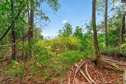 0000 Line Road 4 #4, Elgin, SC 29045 - Photo 29