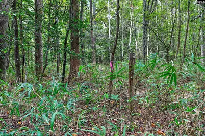 0000 Line Road 4 #4, Elgin, SC 29045 - Photo 35