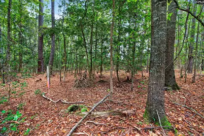 0000 Line Road 4 #4, Elgin, SC 29045 - Photo 37