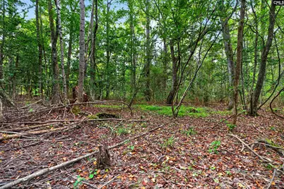 0000 Line Road 4 #4, Elgin, SC 29045 - Photo 7