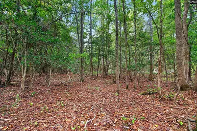 0000 Line Road 4 #4, Elgin, SC 29045 - Photo 31