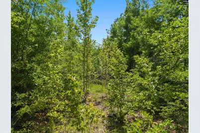 901 Saint Paul Lane, Camden, SC 29020 - Photo 3