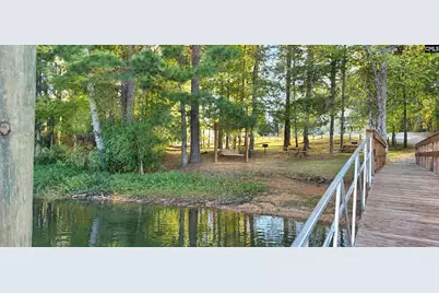 132 Kerry Gibbons Drive, Chapin, SC 29036 - Photo 11
