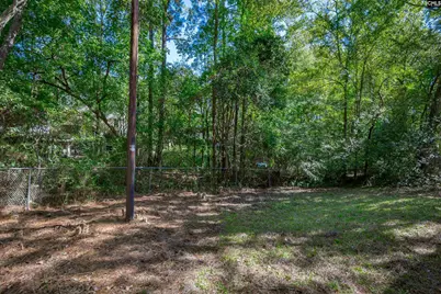 916 Swan Lane, Columbia, SC 29203 - Photo 11