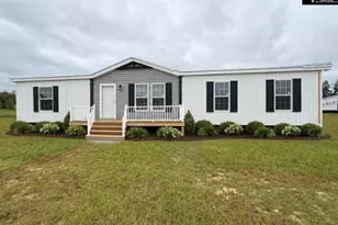 96 Pinestraw Ct, Lexington, SC 29073 - Photo 1