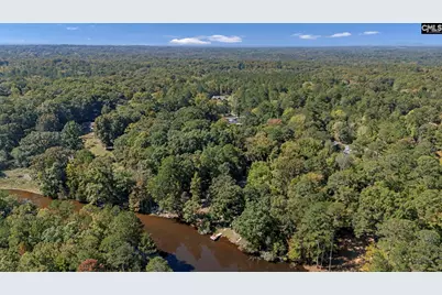 1113 Three Dog Road, Chapin, SC 29036 - Photo 49