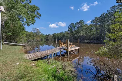 1113 Three Dog Road, Chapin, SC 29036 - Photo 37