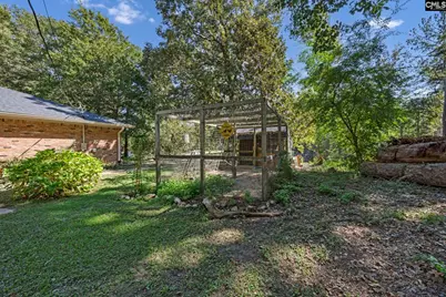 1113 Three Dog Road, Chapin, SC 29036 - Photo 41