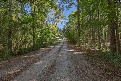 1113 Three Dog Road, Chapin, SC 29036 - Photo 43