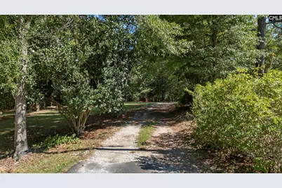 1113 Three Dog Road, Chapin, SC 29036 - Photo 51