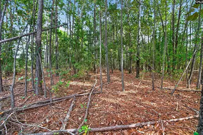0000 Line Road 7 #7, Elgin, SC 29045 - Photo 37