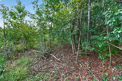 0000 Line Road 7 #7, Elgin, SC 29045 - Photo 35