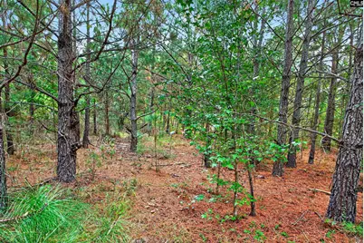 0000 Line Road 7 #7, Elgin, SC 29045 - Photo 27