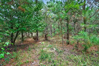 0000 Line Road 7 #7, Elgin, SC 29045 - Photo 29