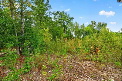 0000 Line Road 13 #13, Elgin, SC 29045 - Photo 33