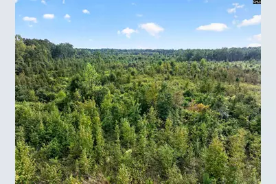 0000 Line Road 13 #13, Elgin, SC 29045 - Photo 7