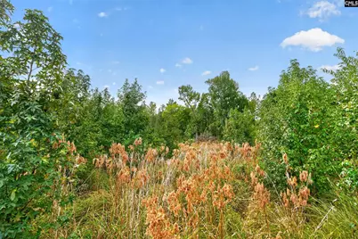 0000 Line Road 13 #13, Elgin, SC 29045 - Photo 39