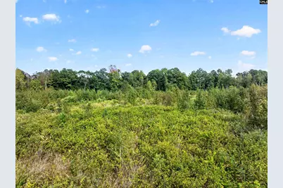 0000 Line Road 13 #13, Elgin, SC 29045 - Photo 13