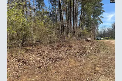 Holley Ferry Road, Leesville, SC 29070 - Photo 3