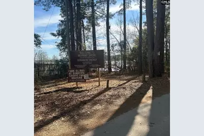 Holley Ferry Road, Leesville, SC 29070 - Photo 5
