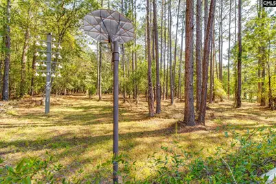 248 Woodland Trail, Lugoff, SC 29078 - Photo 41